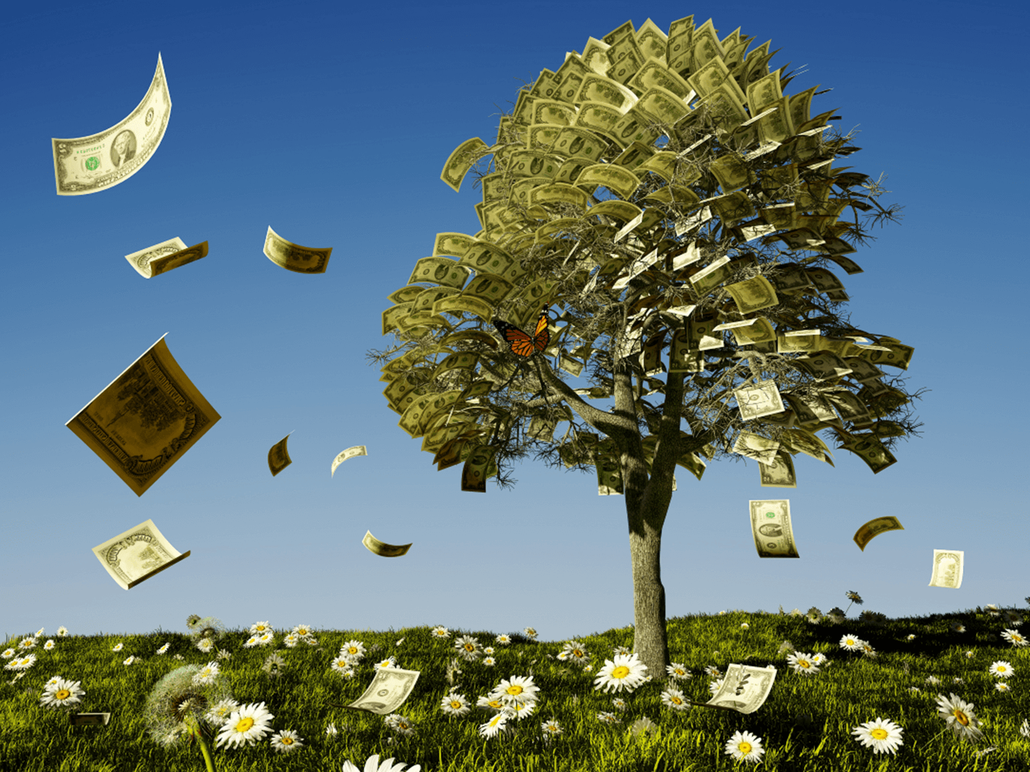 Does Money Grow on Tress? BCCU